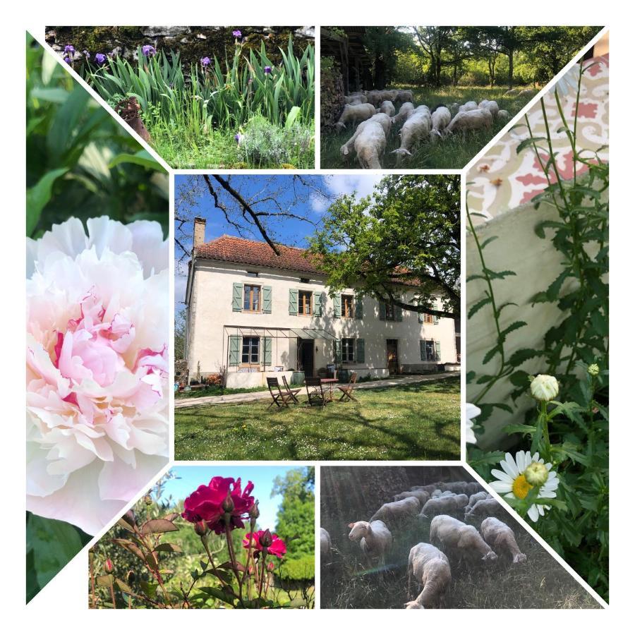 Mas D'aubrac Couette-café Limogne-en-Quercy