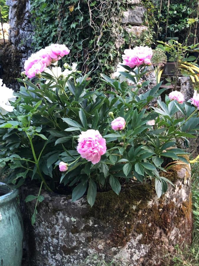 Mas D'aubrac Limogne-en-Quercy